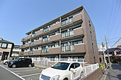 Lobelia courtのイメージ