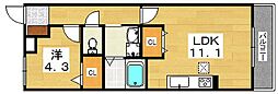 グランシエル 1LDKの間取図画像