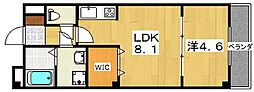 カーサセレーナ 1LDKの間取図画像