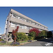 ビッグソルトヒルＡ 1階 築37年の賃貸物件