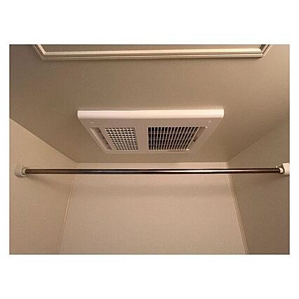 サープラスワンアカハネ_その他_3