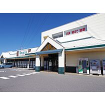 モモセハイツＢ  ｜ 長野県松本市寿中1丁目（賃貸アパート2LDK・2階・49.52㎡） その23