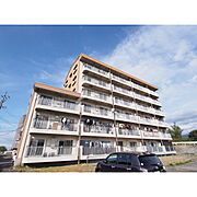 イワマアメニー 5階 築40年6ヶ月の賃貸物件