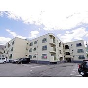 薄川ハイツ 2階 築46年8ヶ月の賃貸物件