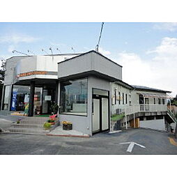 クレオパトラテナントビル