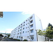 毛賀駅より徒歩14分 築33年7ヶ月 5階建の賃貸物件