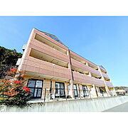 ルーエンハイム 1階 築21年10ヶ月の賃貸物件