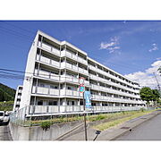 須坂駅より徒歩47分 築48年11ヶ月 5階建の賃貸物件