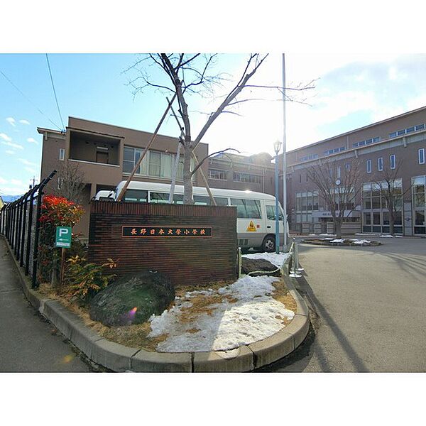 画像24:小学校「私立長野日本大学小学校まで907ｍ」
