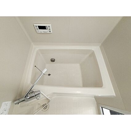 フレグランスアイビーB_その他_1