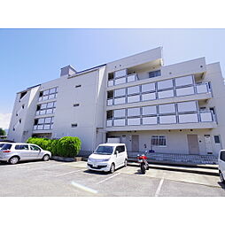 サンライズいなば