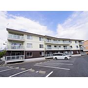 カサフィーナＡ１ 3階 築37年9ヶ月の賃貸物件