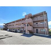 カメリアガーデン 3階 築27年5ヶ月の賃貸物件