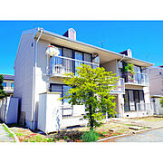 ジュネス宮島Ｃ棟の賃貸物件