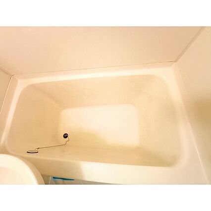 アトラスセブン_その他_1