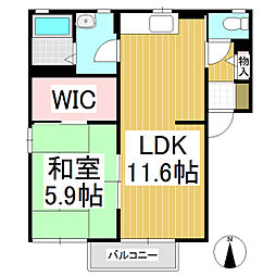 フォーレス望A 1LDKの間取図画像