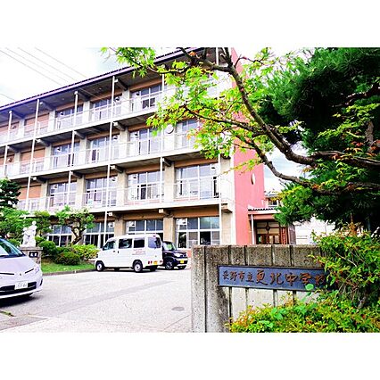 メゾン真島_周辺_0