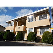 ラプラスゆうW棟 2階 築37年9ヶ月の賃貸物件