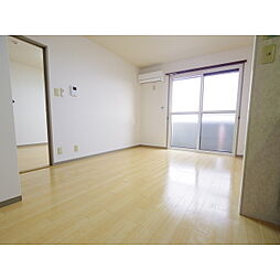 ハイカムールマルナカ