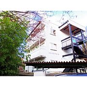 ファーストフォーレ 1階 築29年8ヶ月の賃貸物件