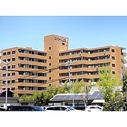 信濃国分寺駅より徒歩27分 8階 築35年6ヶ月の賃貸物件