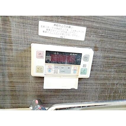 スノードロップS_その他_3