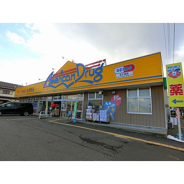 画像26:ドラックストア「アメリカンドラッグ石渡店まで895ｍ」