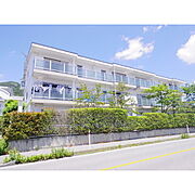 ホワイトハイツ東館 3階 築36年11ヶ月の賃貸物件