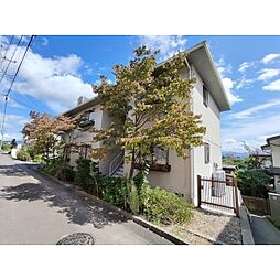 エクセル小柴見