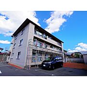 平田駅より徒歩10分 3階 築49年3ヶ月の賃貸物件