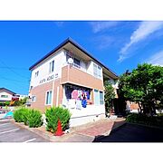 メゾンアオキ 1階 築36年5ヶ月の賃貸物件
