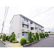 ブレストンアルガ 3階 築17年7ヶ月の賃貸物件