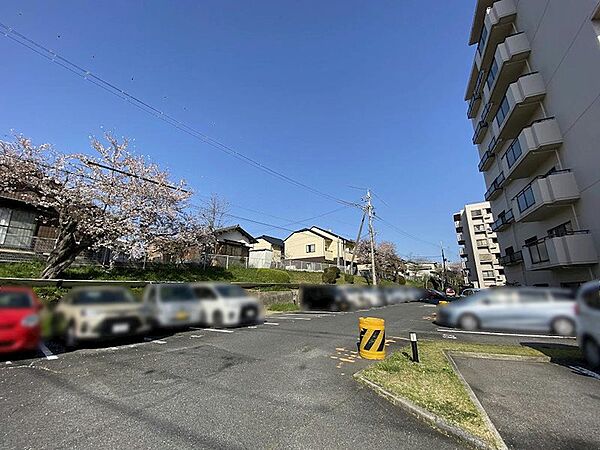 平面駐車場のため出し入れがスムーズです。