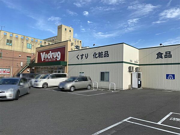 V・drug 大将軍店（860m）