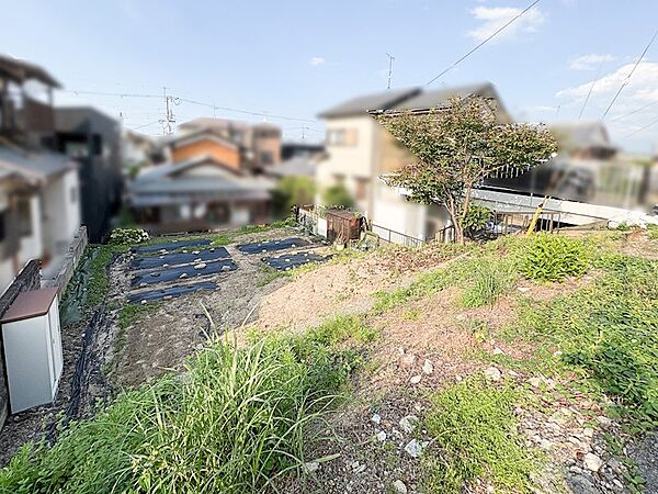 現地写真（道路から撮影）