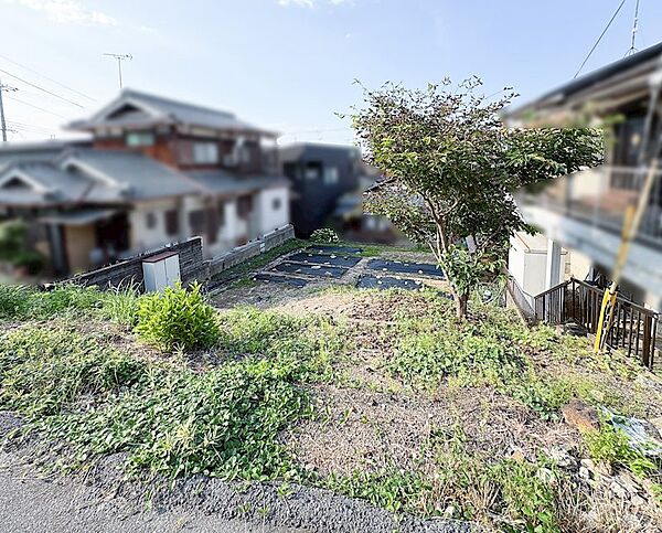 現地写真（道路から撮影）