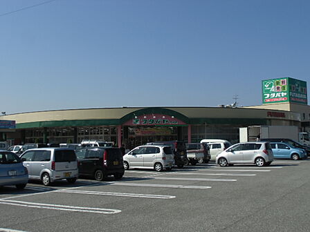 ショッピングセンターフタバヤ彦根店(720m)