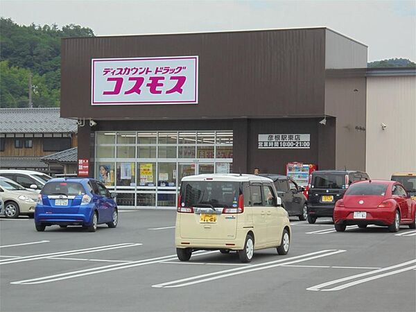 ディスカウントドラッグコスモス 彦根駅東店（700m）