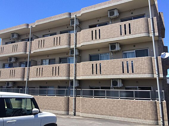 Y&Mディジー_外観_1