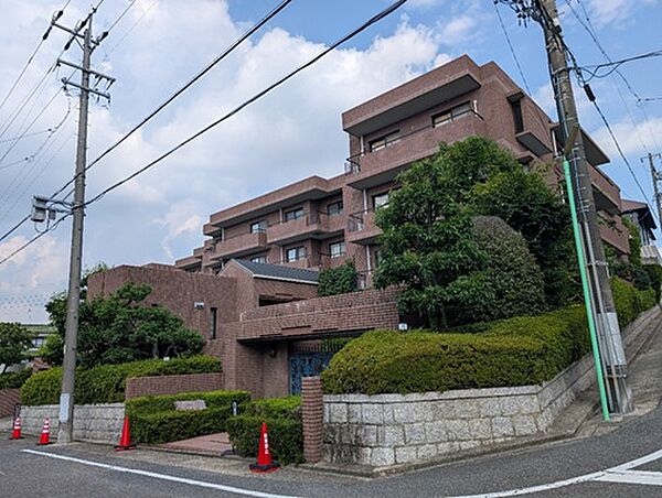 2026年6月撮影