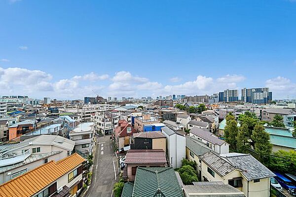 最上階から望む、街並みと緑が織りなす開放的な景色。東南向きの窓から光が差し込み、遠くまで広がる眺望とともに、都市の利便性と自然の心地よさを感じられる住まいです。