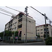 南荒子駅より徒歩7分 4階 築54年1ヶ月の賃貸物件