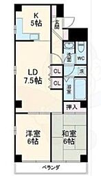 フリージア FREESIA 7階/-