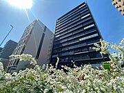 新栄町駅より徒歩7分 6階 築5年7ヶ月の賃貸物件