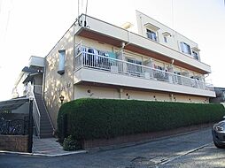 セントポーリア