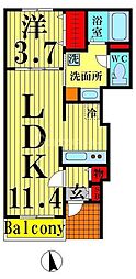 カーサ カルロッサ 1階1LDKの間取り