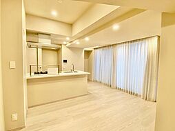 ザ・パークハビオ麻布十番 803 8階1LDKのリビング/ダイニング