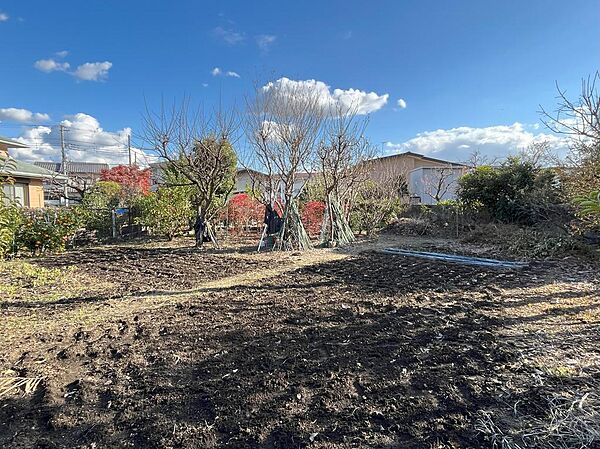 約100坪の家庭菜園スペース、ブルーべり－、いよかん、レモンなどの柑橘、きゅうり、なす、じゃがいもなどの野菜を育てております