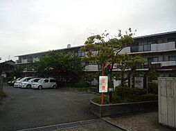 アンド・ユー郡津