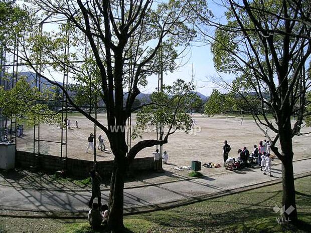 スポーツ公園（水明台第5公園）の外観